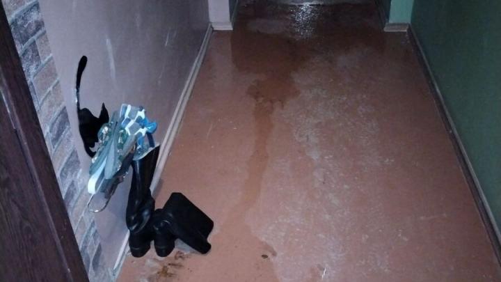 Энгельсскую многоэтажку затапливают талые воды Энгельсскую многоэтажку затапливают талые воды